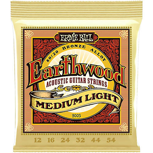 Ernie Ball Earthwood Medium Light 12 Strings
