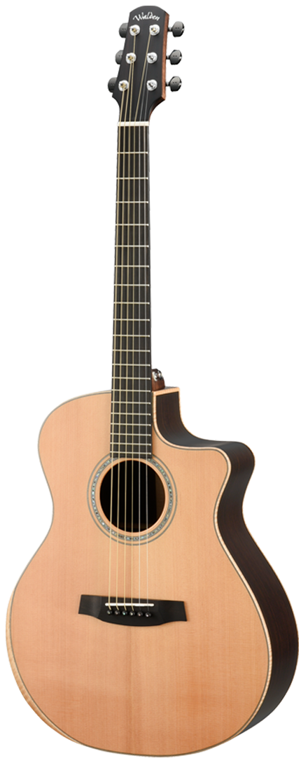 WALDEN ACOUSTIC/ELECTRIC W/SOLID TOP