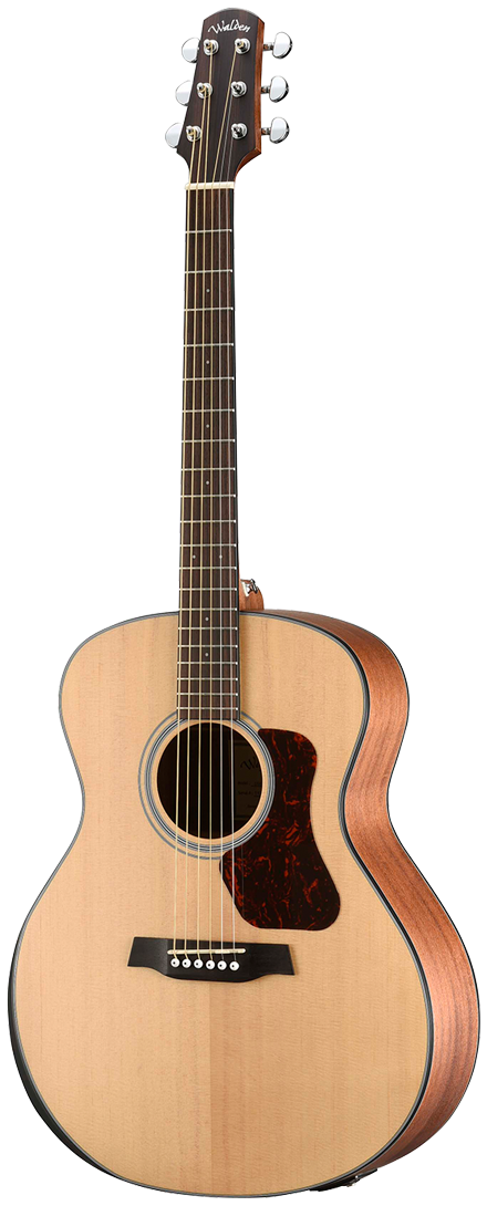 Walden Natura G550RE Acoustic/Electric